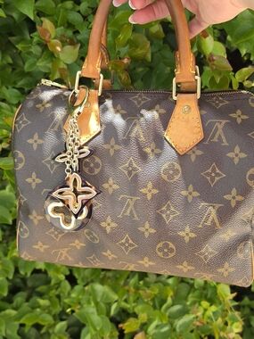 Louis Vuitton Monogram Canvas Speedy Handbag in Brown 25